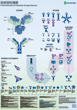 抗体百科海报