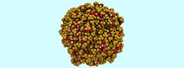 Impact of Counter-ion in Peptide on Studies in Different Research Fields