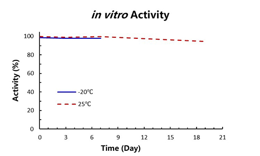 in Vitro Activity