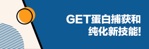 GET蛋白捕获和纯化新技能!