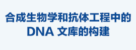 合成生物学和抗体工程学中DNA文库的构建-金斯瑞